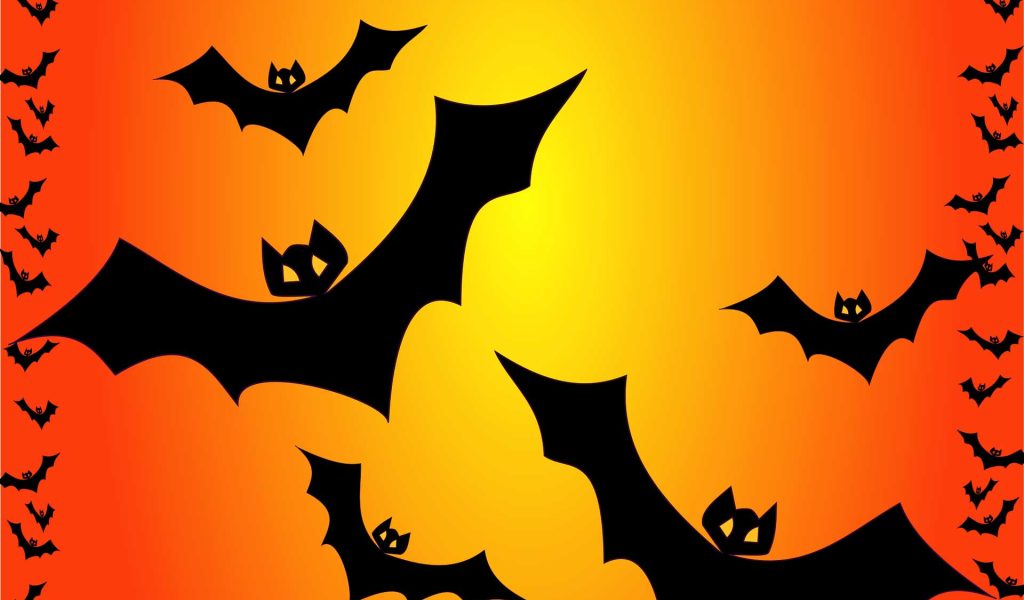 bats-scaring halloween_galligani.it