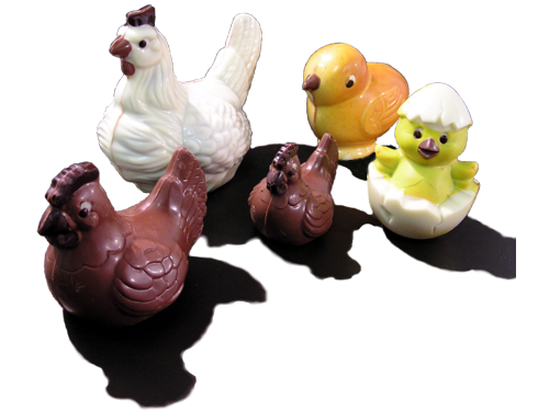 galline