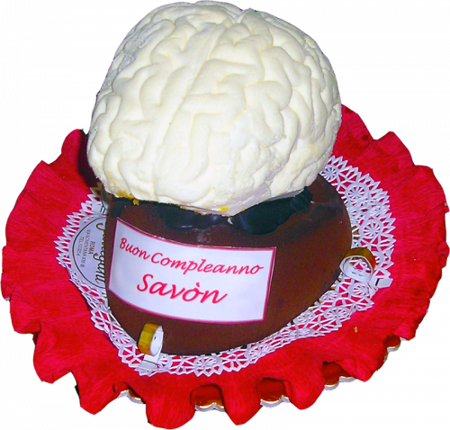 torte-varie-24 torte-024
